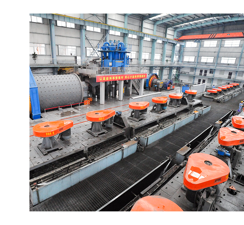 BF Series Flotation Machine